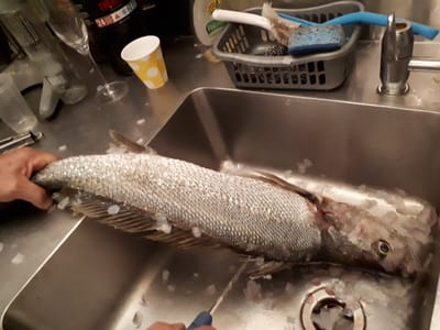 20180405_205137.jpg
