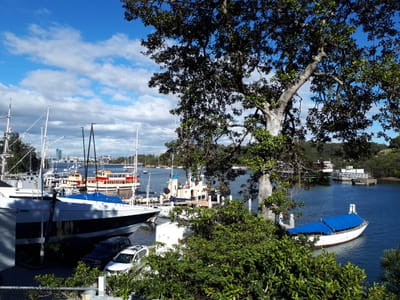 20180530_101314.jpg