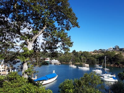 20180530_101320.jpg