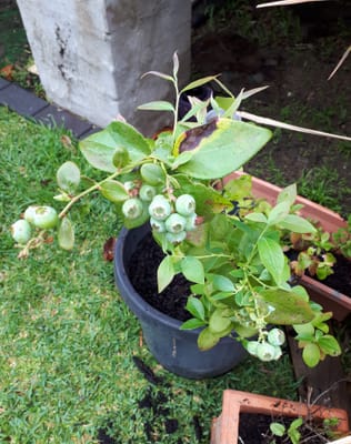 20181102_085710.jpg