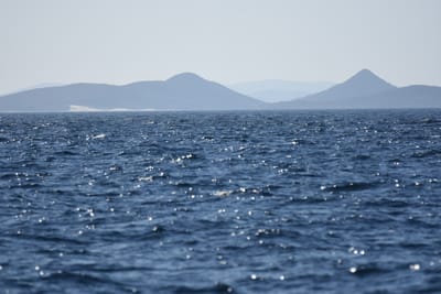 DSC_1007.JPG