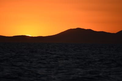 DSC_1010.JPG