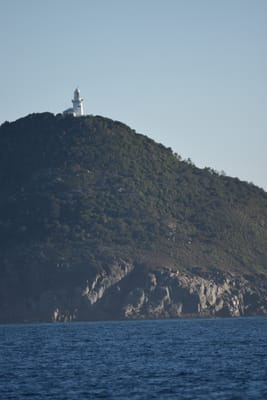 DSC_1014.JPG
