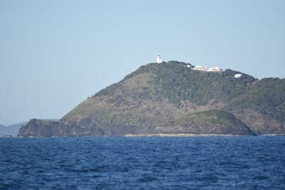 DSC_1015.JPG
