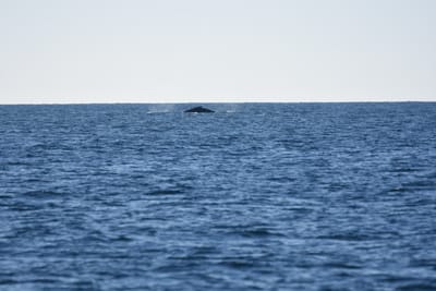 DSC_1017.JPG