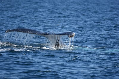 DSC_1024.JPG