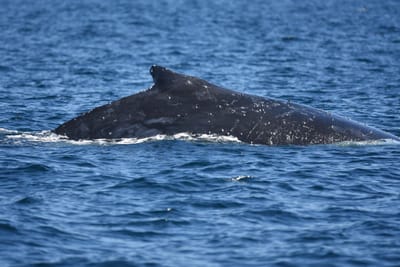 DSC_1029.JPG