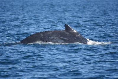 DSC_1032.JPG