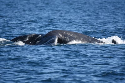 DSC_1034.JPG
