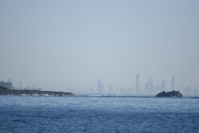 DSC_1065.JPG