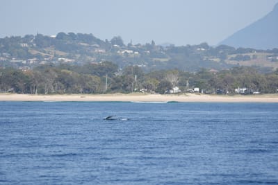 DSC_1068.JPG