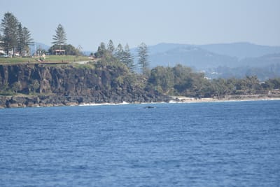 DSC_1088.JPG