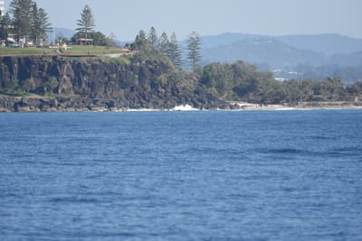 DSC_1090.JPG