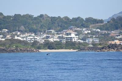 DSC_1093.JPG