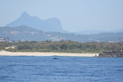 DSC_1094.JPG
