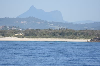 DSC_1095.JPG