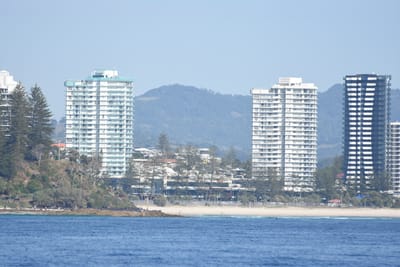 DSC_1100.JPG