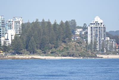 DSC_1102.JPG