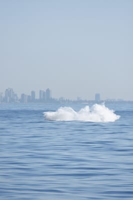 DSC_1142.JPG