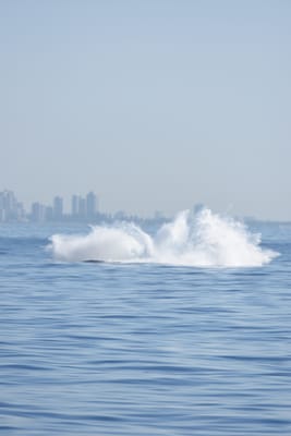 DSC_1143.JPG