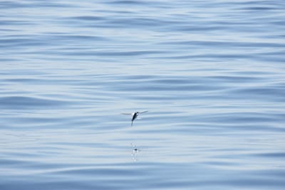 DSC_1144.JPG