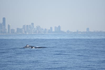 DSC_1148.JPG