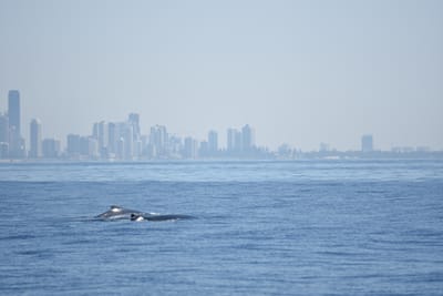 DSC_1149.JPG