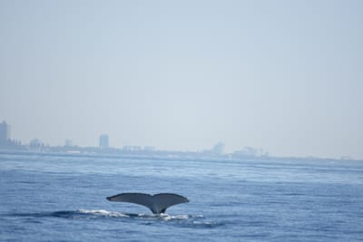 DSC_1159.JPG