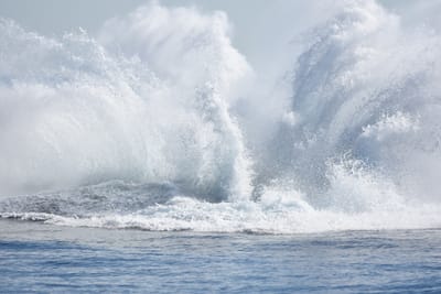 DSC_1172.JPG