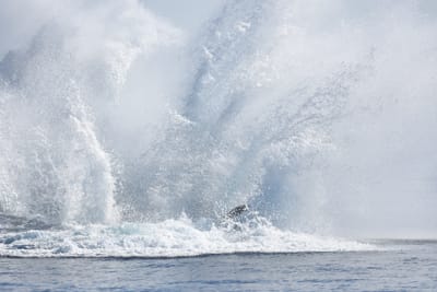 DSC_1174.JPG
