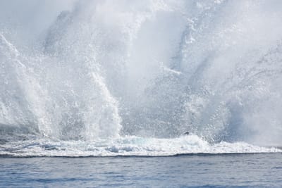 DSC_1175.JPG