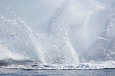 DSC_1176.JPG
