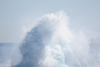 DSC_1177.JPG