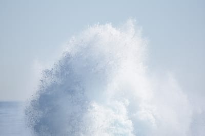 DSC_1178.JPG