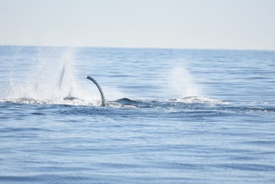 DSC_1185.JPG