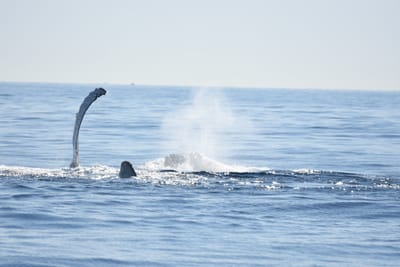 DSC_1191.JPG