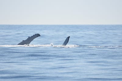 DSC_1192.JPG
