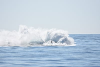 DSC_1201.JPG
