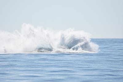 DSC_1202.JPG