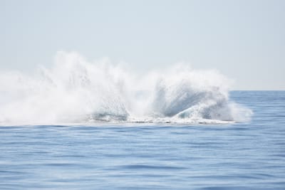 DSC_1203.JPG
