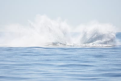 DSC_1204.JPG