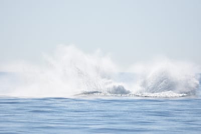 DSC_1205.JPG