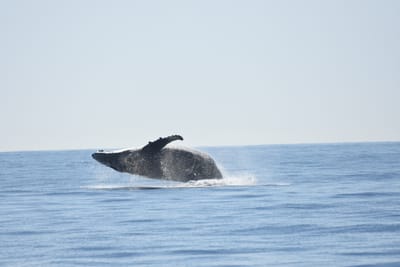 DSC_1208.JPG