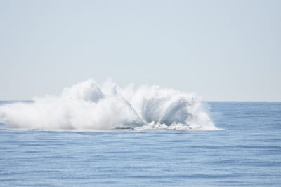 DSC_1212.JPG