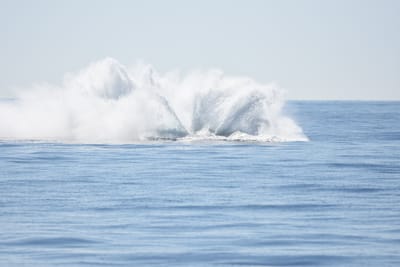 DSC_1213.JPG
