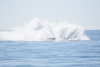 DSC_1214.JPG