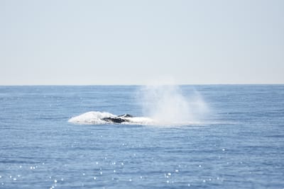 DSC_1216.JPG