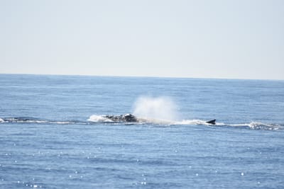 DSC_1217.JPG