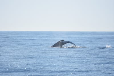 DSC_1219.JPG