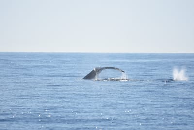 DSC_1220.JPG